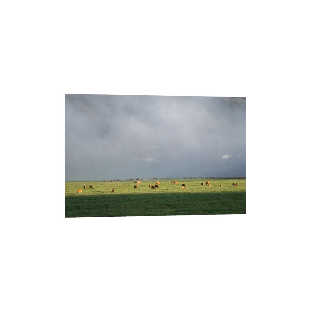 fineartprints_rectangle2_3_0_0_3871_2581_0.png