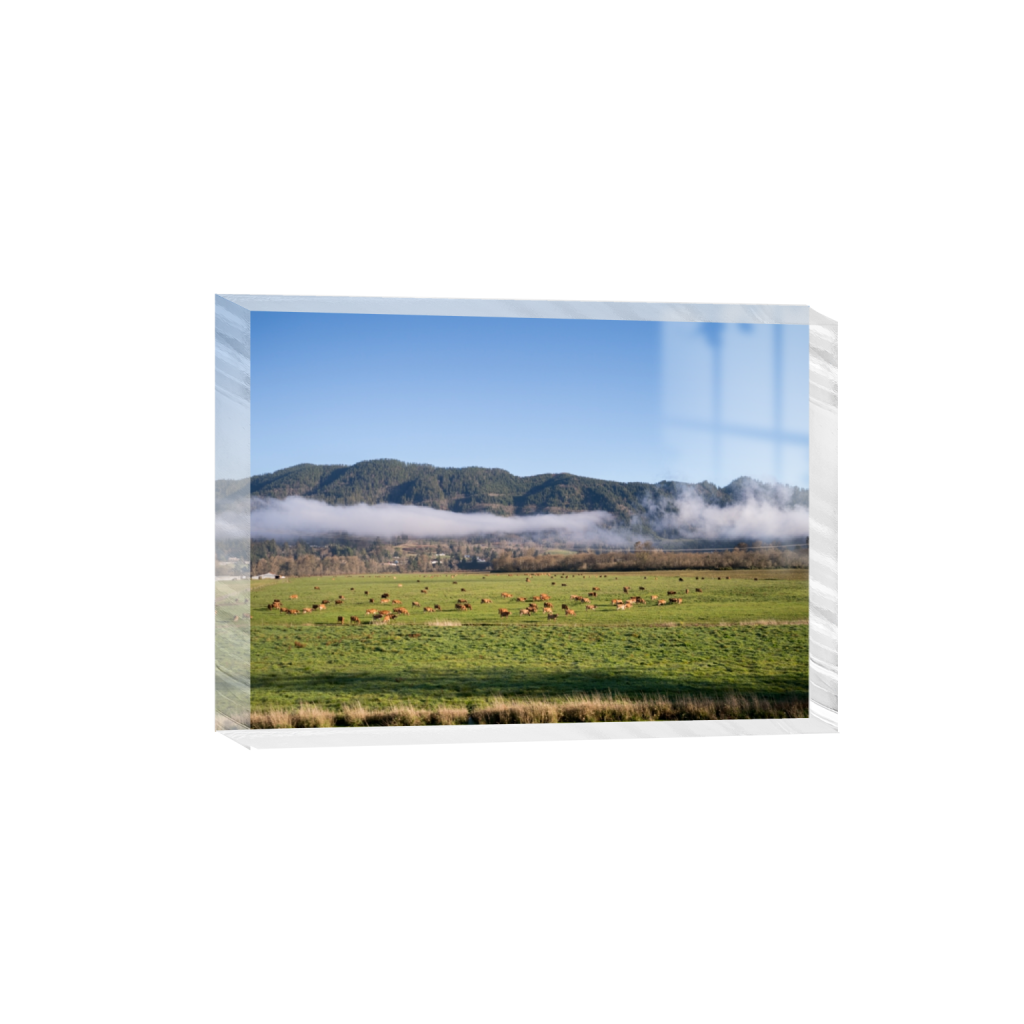 acrylicdesktopprint_rectangle5_7_129_0_3613_2581_0.png