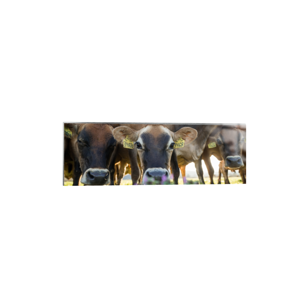 metalprint_rectangle1_3_0_658_3872_1290_0.png