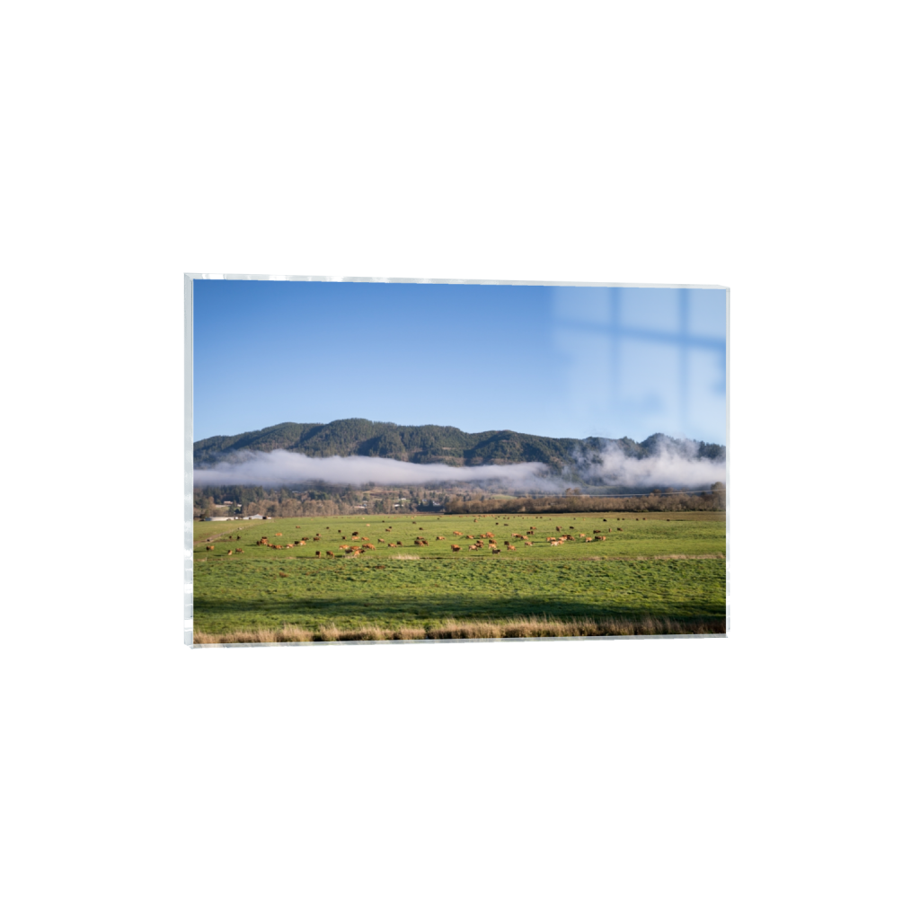 acrylicprint_rectangle2_3_0_0_3871_2581_0.png