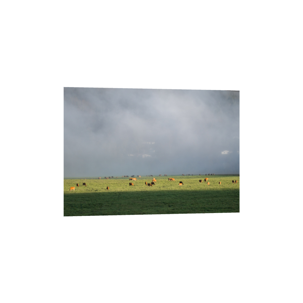 fineartprints_rectangle5_7_129_0_3613_2581_0.png