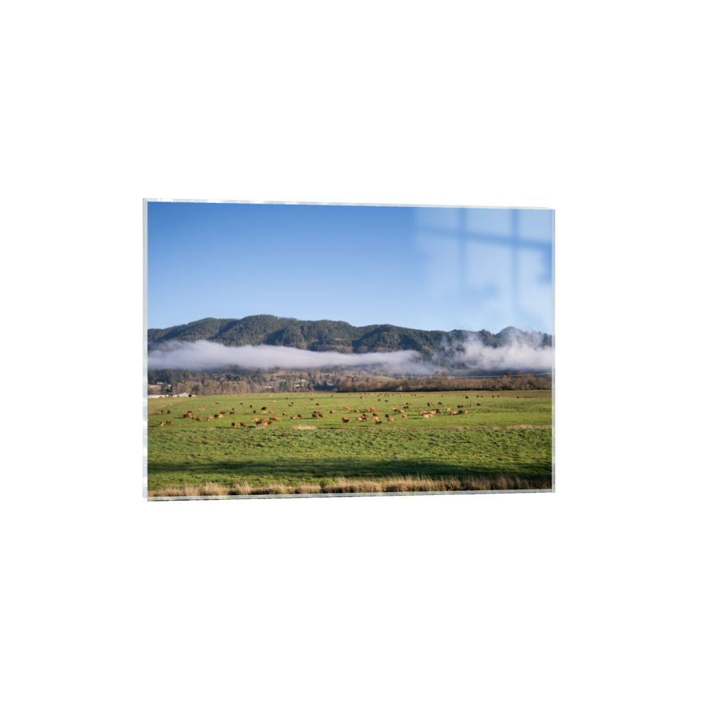 acrylicprint_rectangle5_7_129_0_3613_2581_0.png