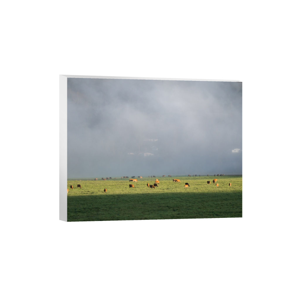 canvas_rectangle4_5_322_0_3226_2581_0.png