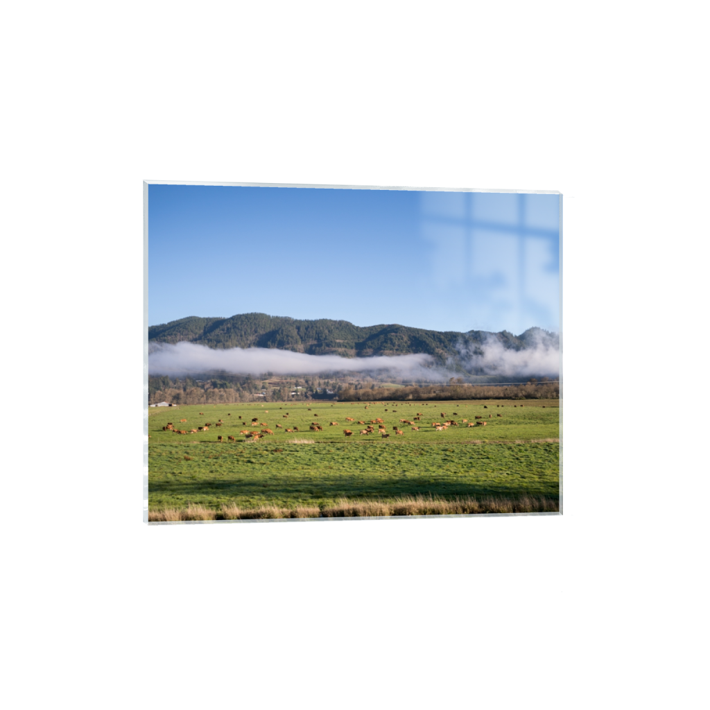 acrylicprint_rectangle4_5_322_0_3226_2581_0.png