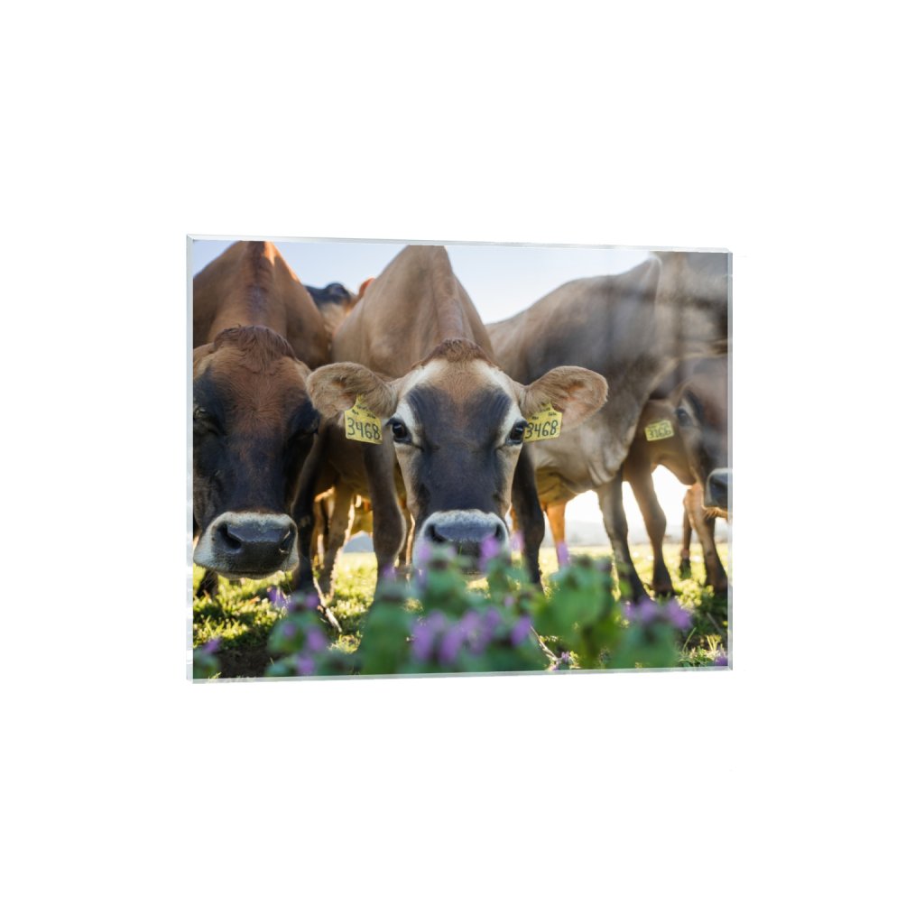acrylicprint_rectangle4_5_322_0_3226_2581_0.png
