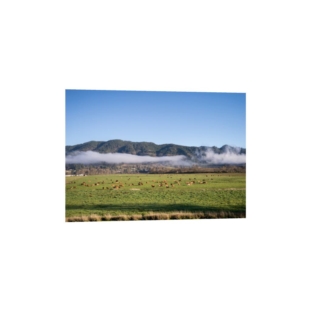 fineartprints_rectangle5_7_129_0_3613_2581_0.png