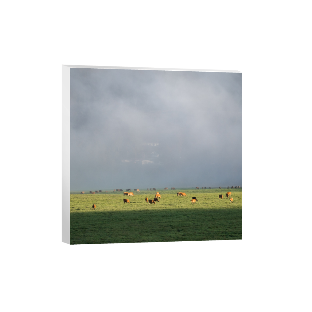canvas_square_645_0_2581_2581_0.png