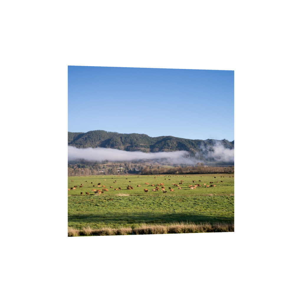 fineartprints_square_645_0_2581_2581_0.png