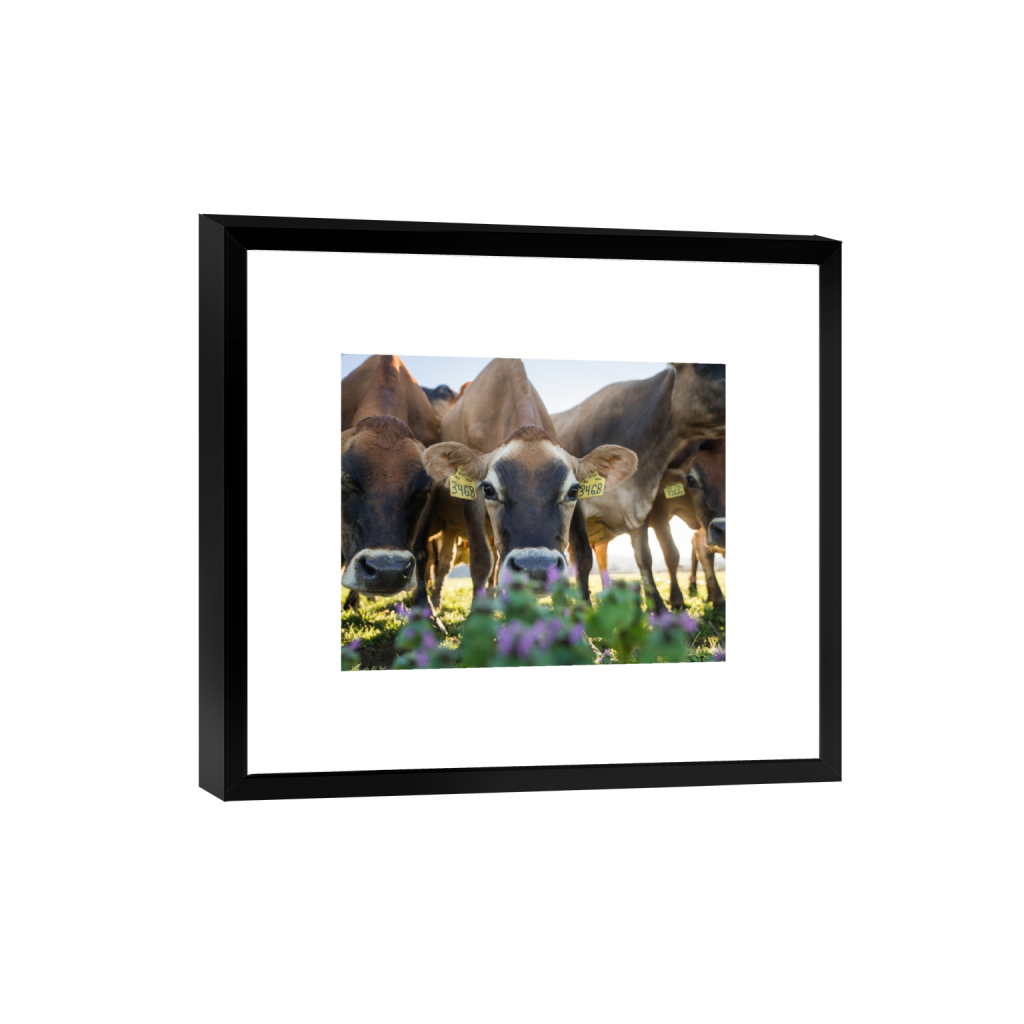 smartframe_rectangle4_5_322_0_3226_2581_0.png