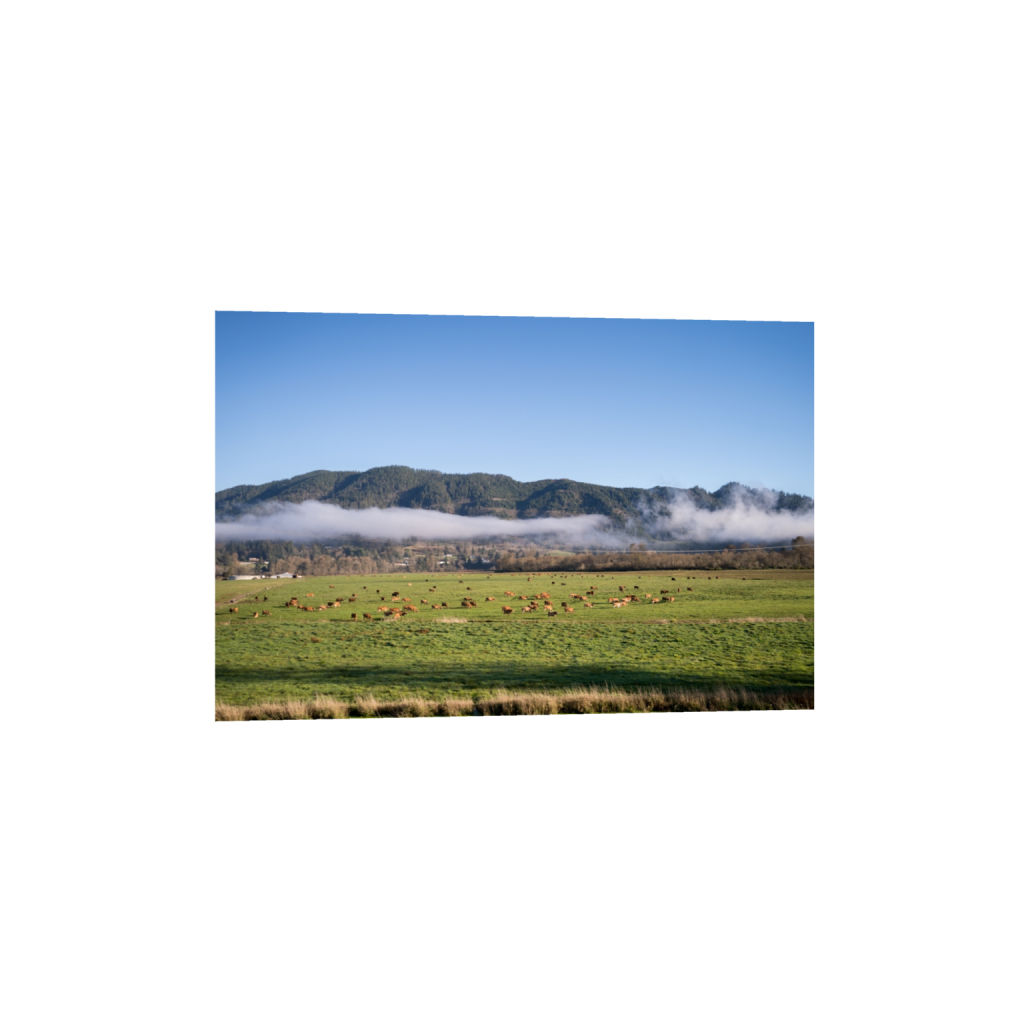 fineartprints_rectangle2_3_0_0_3871_2581_0.png