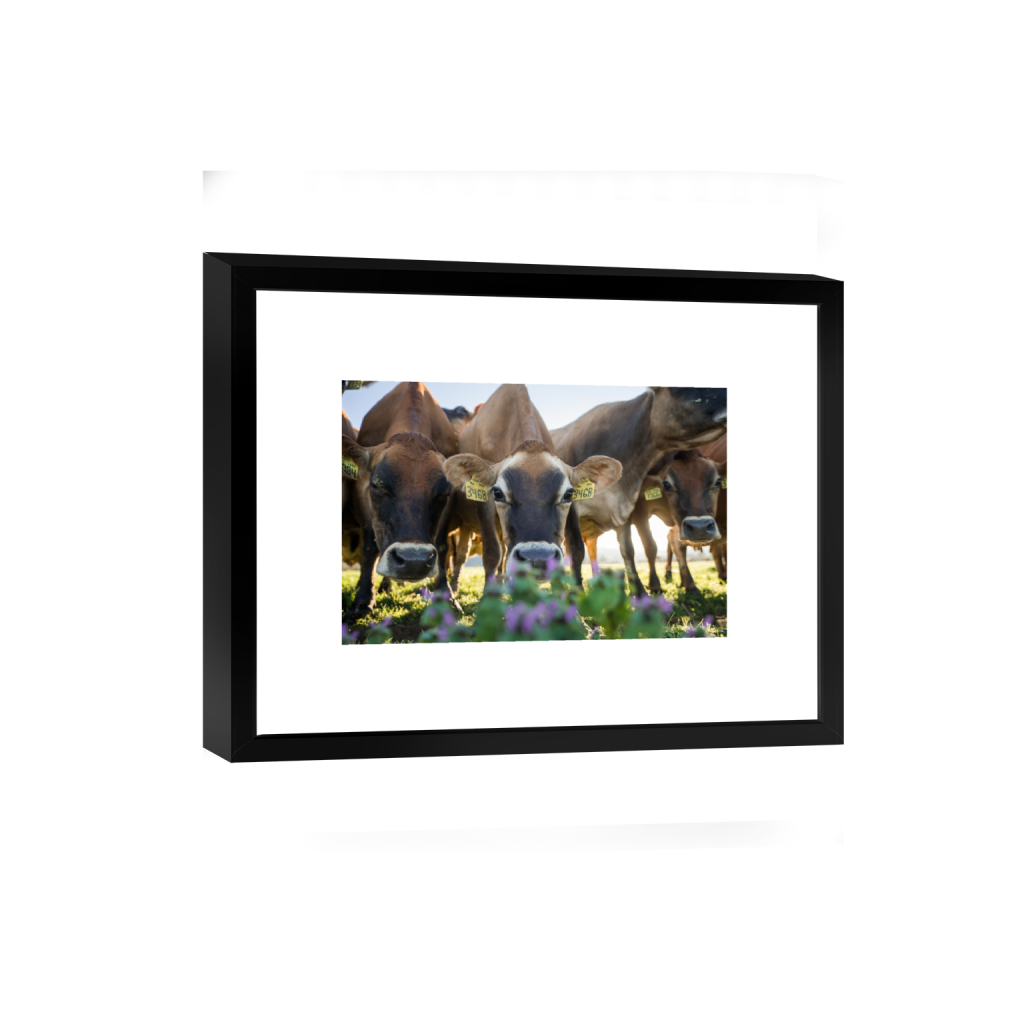 smartframe_rectangle2_3_0_0_3871_2581_0.png