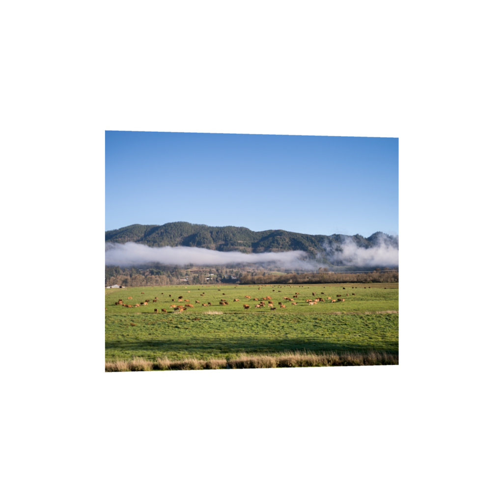 fineartprints_rectangle4_5_322_0_3226_2581_0.png