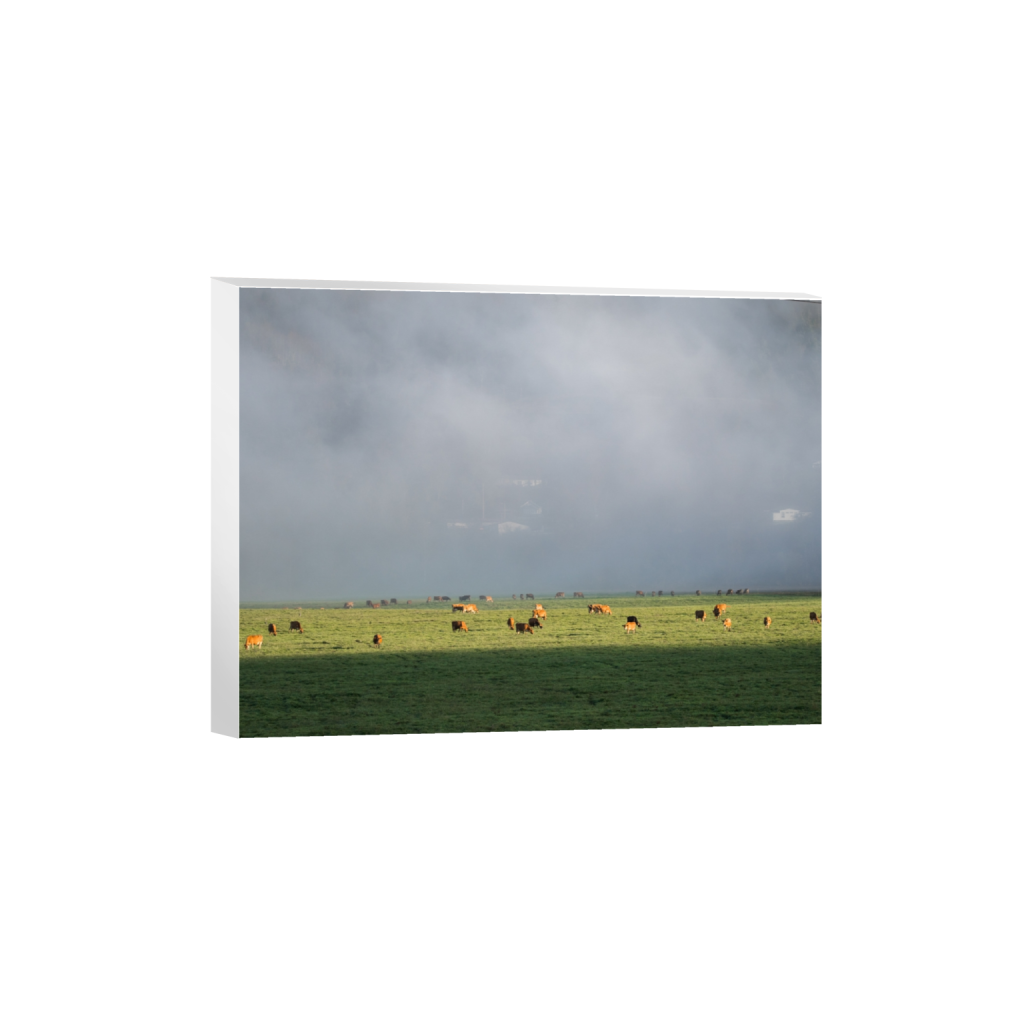 canvas_rectangle3_4_215_0_3441_2581_0.png