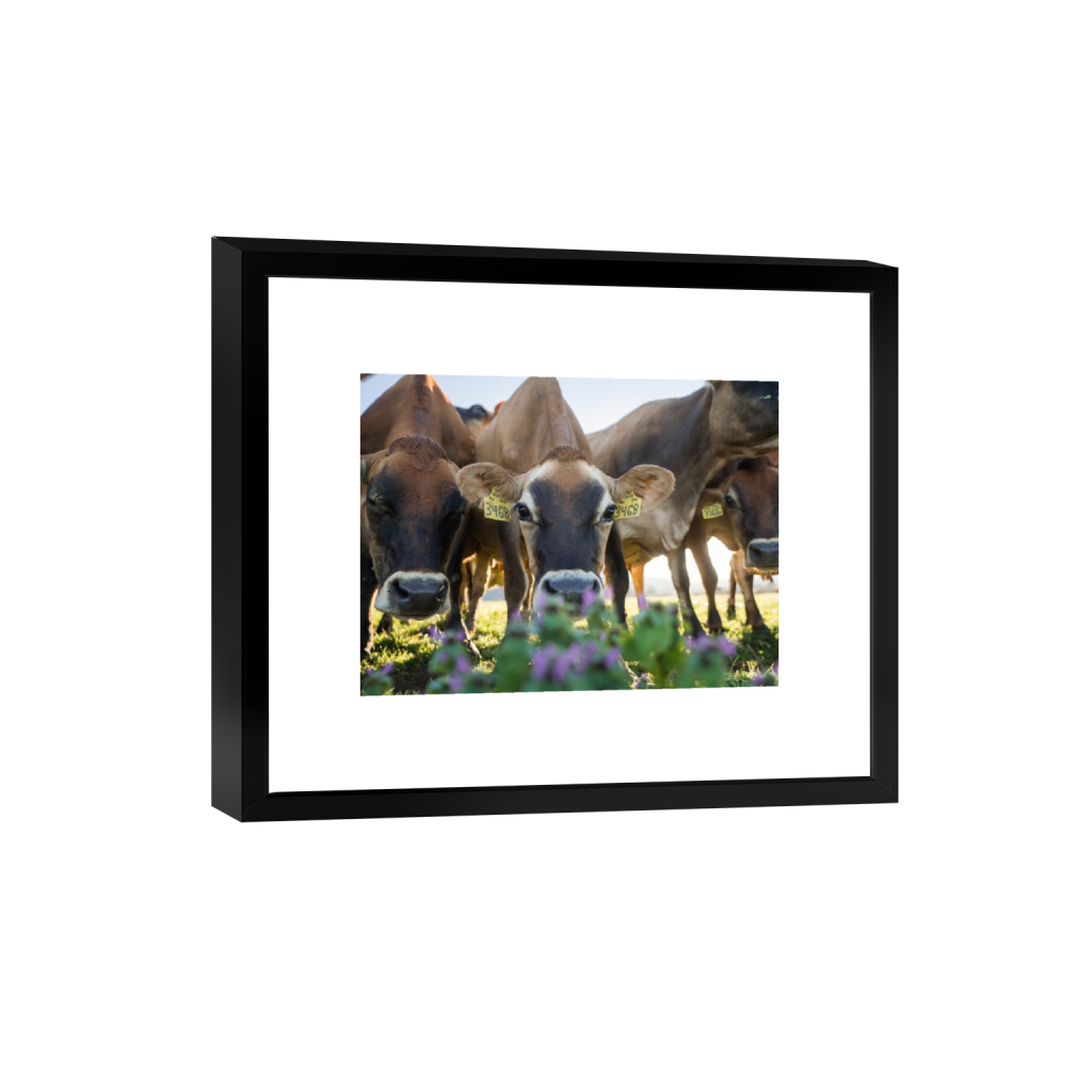 smartframe_rectangle3_4_215_0_3441_2581_0.png