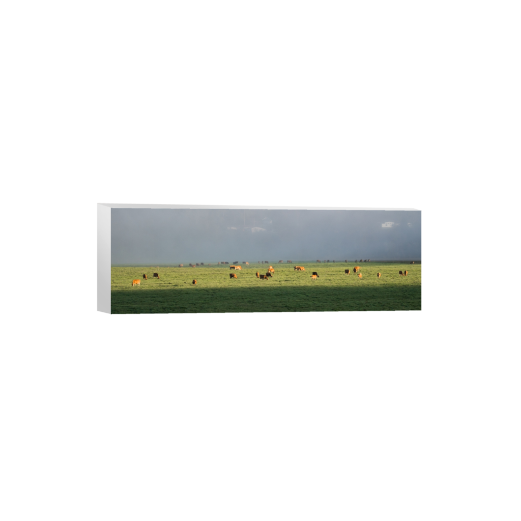 canvas_rectangle1_3_0_1122_3872_1290_0.png