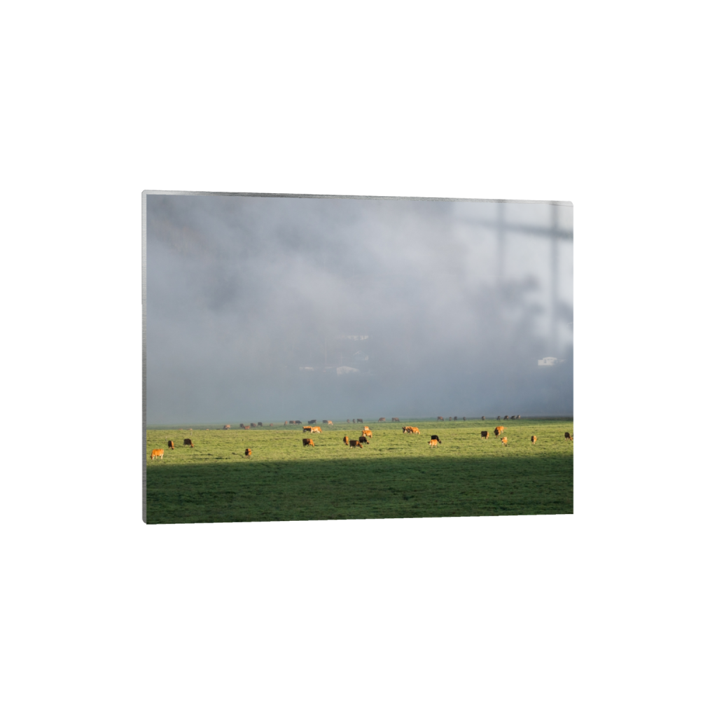 metalprint_rectangle3_4_215_0_3441_2581_0.png