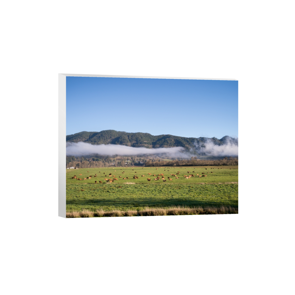 canvas_rectangle4_5_322_0_3226_2581_0.png