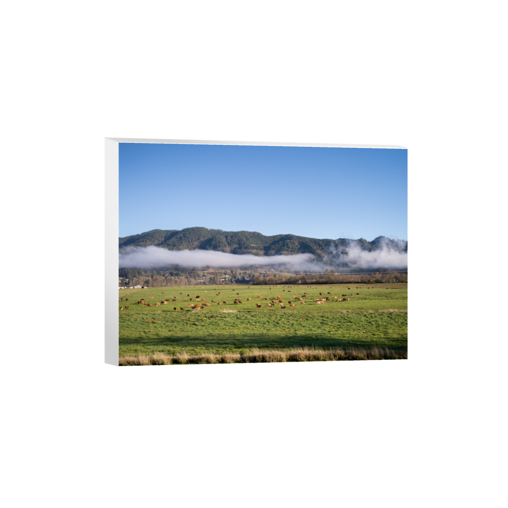 canvas_rectangle3_4_215_0_3441_2581_0.png