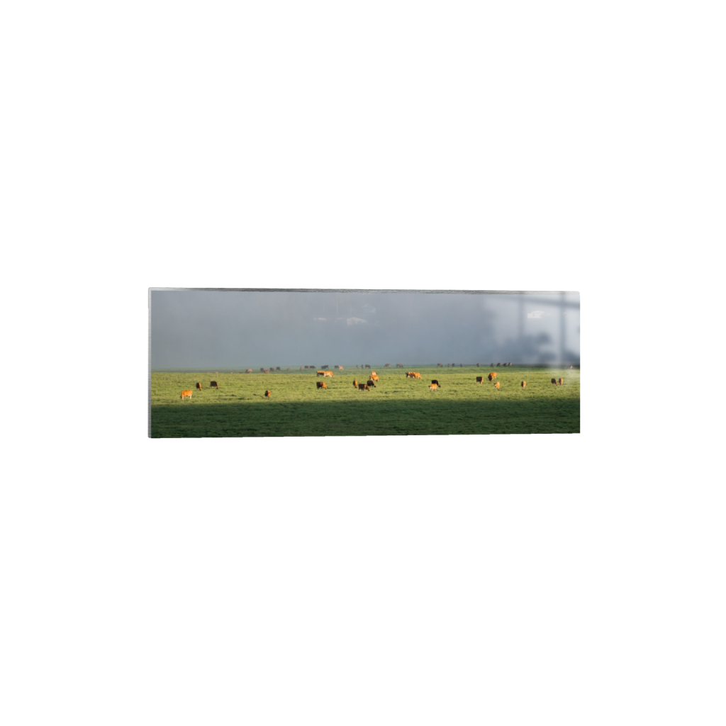 metalprint_rectangle1_3_0_1122_3872_1290_0.png