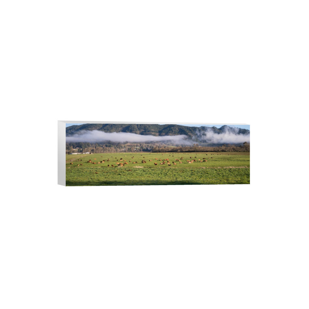 canvas_rectangle1_3_0_1058_3872_1290_0.png