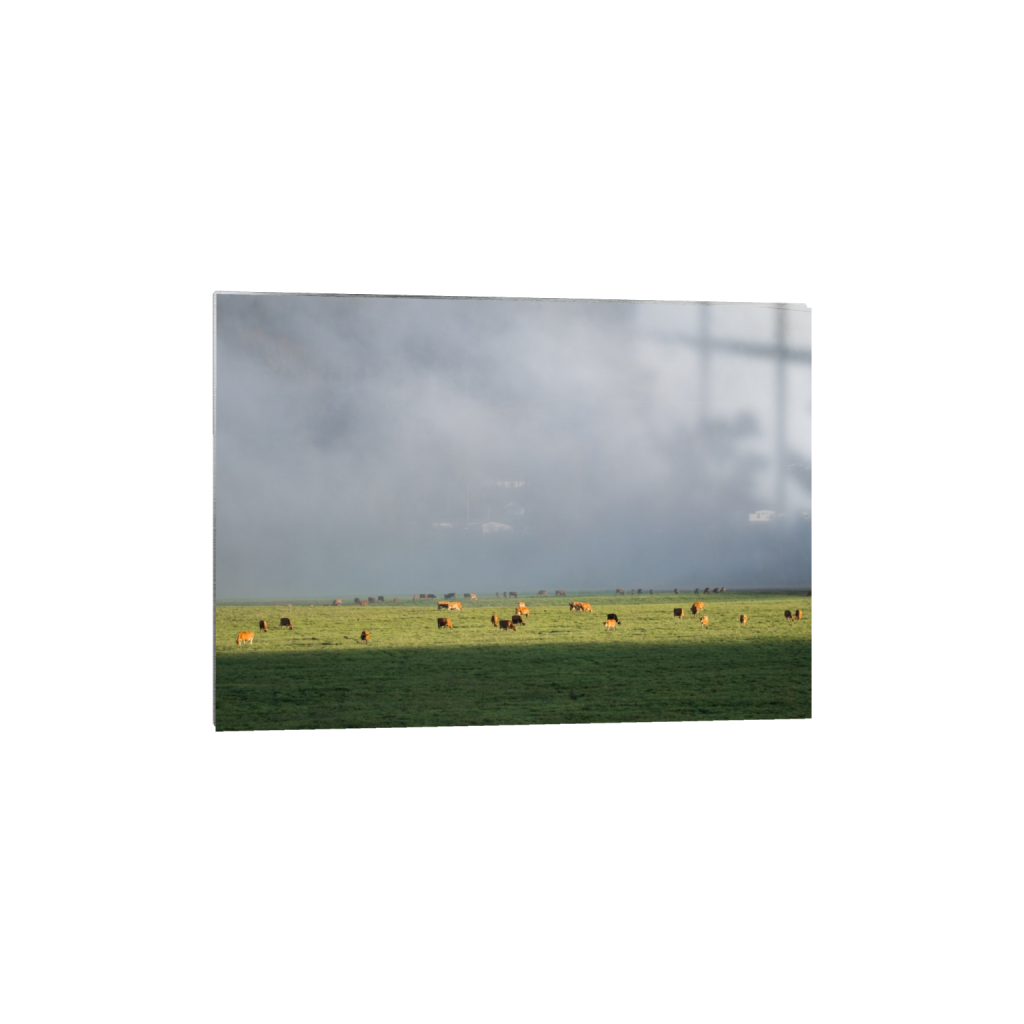 metalprint_rectangle5_7_129_0_3613_2581_0.png
