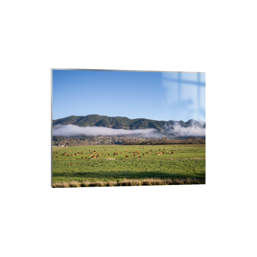 metalprint_rectangle3_4_215_0_3441_2581_0.png