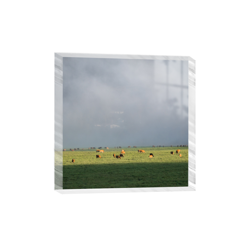 acrylicdesktopprint_square_645_0_2581_2581_0.png