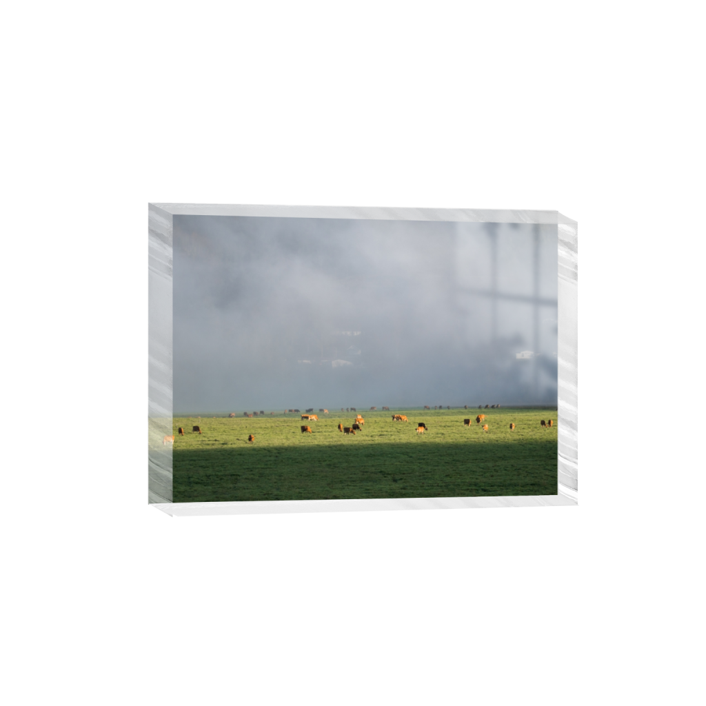 acrylicdesktopprint_rectangle5_7_129_0_3613_2581_0.png