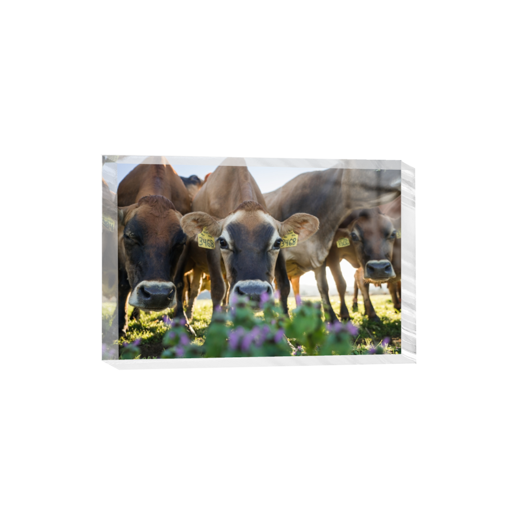 acrylicdesktopprint_rectangle2_3_0_0_3871_2581_0.png