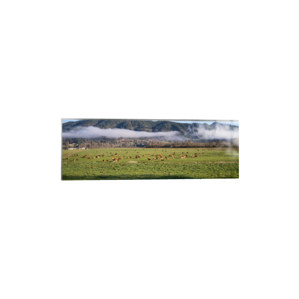 metalprint_rectangle1_3_0_1058_3872_1290_0.png