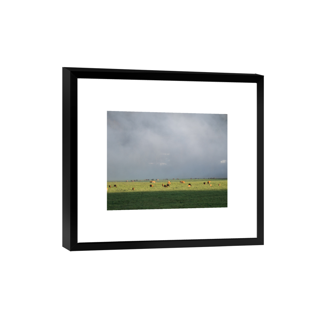 smartframe_rectangle4_5_322_0_3226_2581_0.png