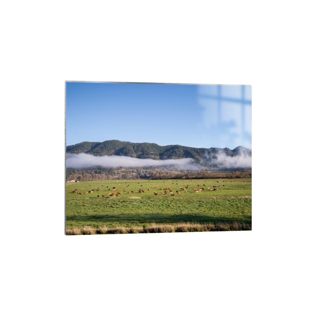 metalprint_rectangle4_5_322_0_3226_2581_0.png