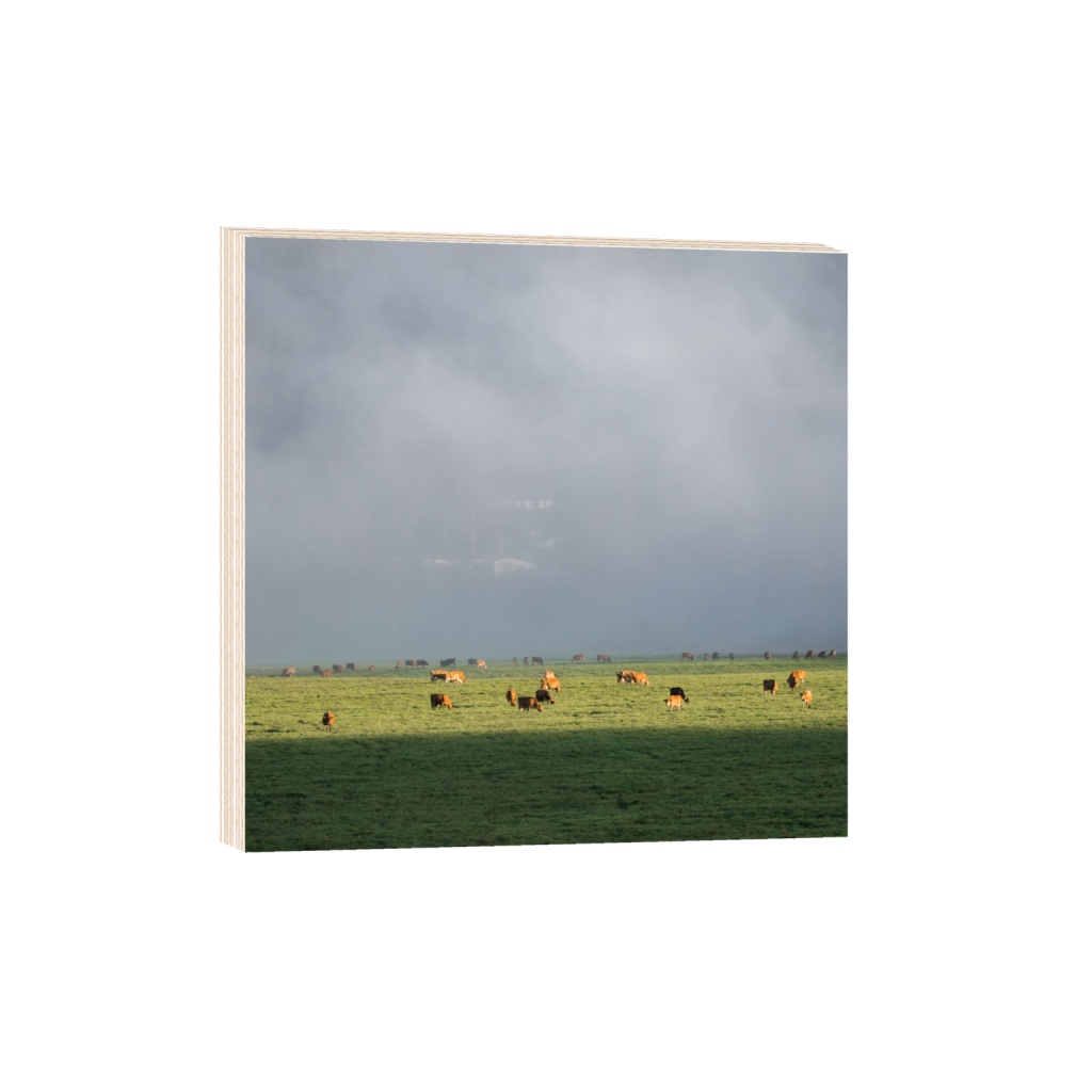 woodprint_square_645_0_2581_2581_0.png