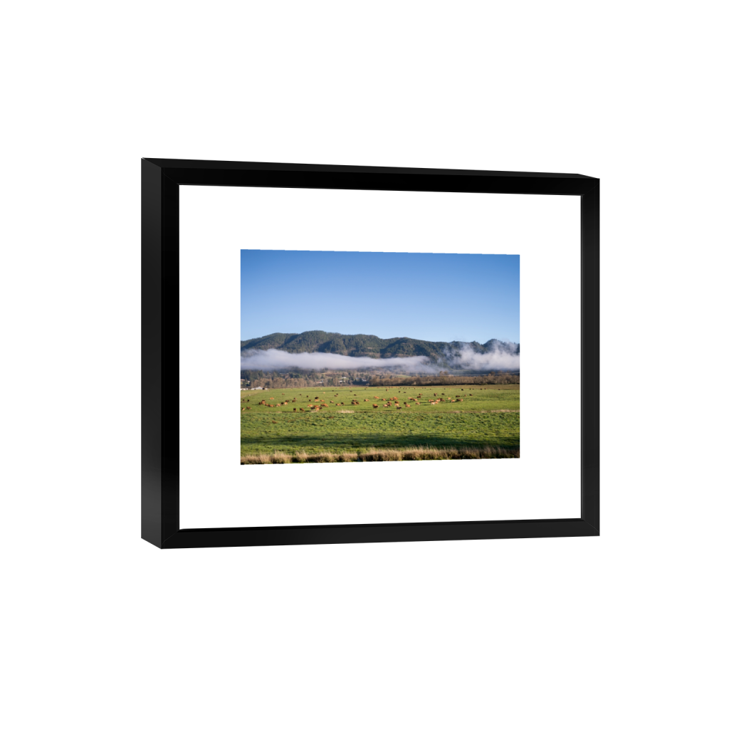 smartframe_rectangle3_4_215_0_3441_2581_0.png