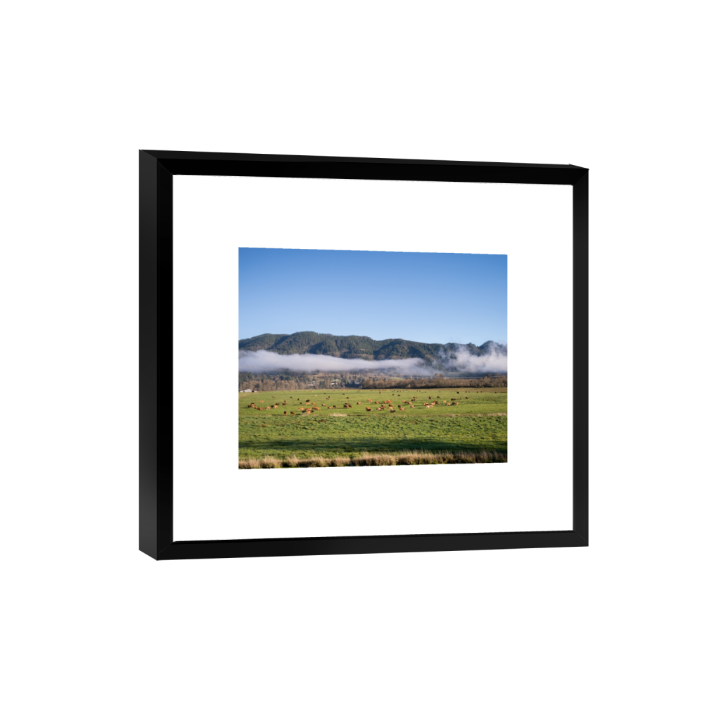 smartframe_rectangle4_5_322_0_3226_2581_0.png