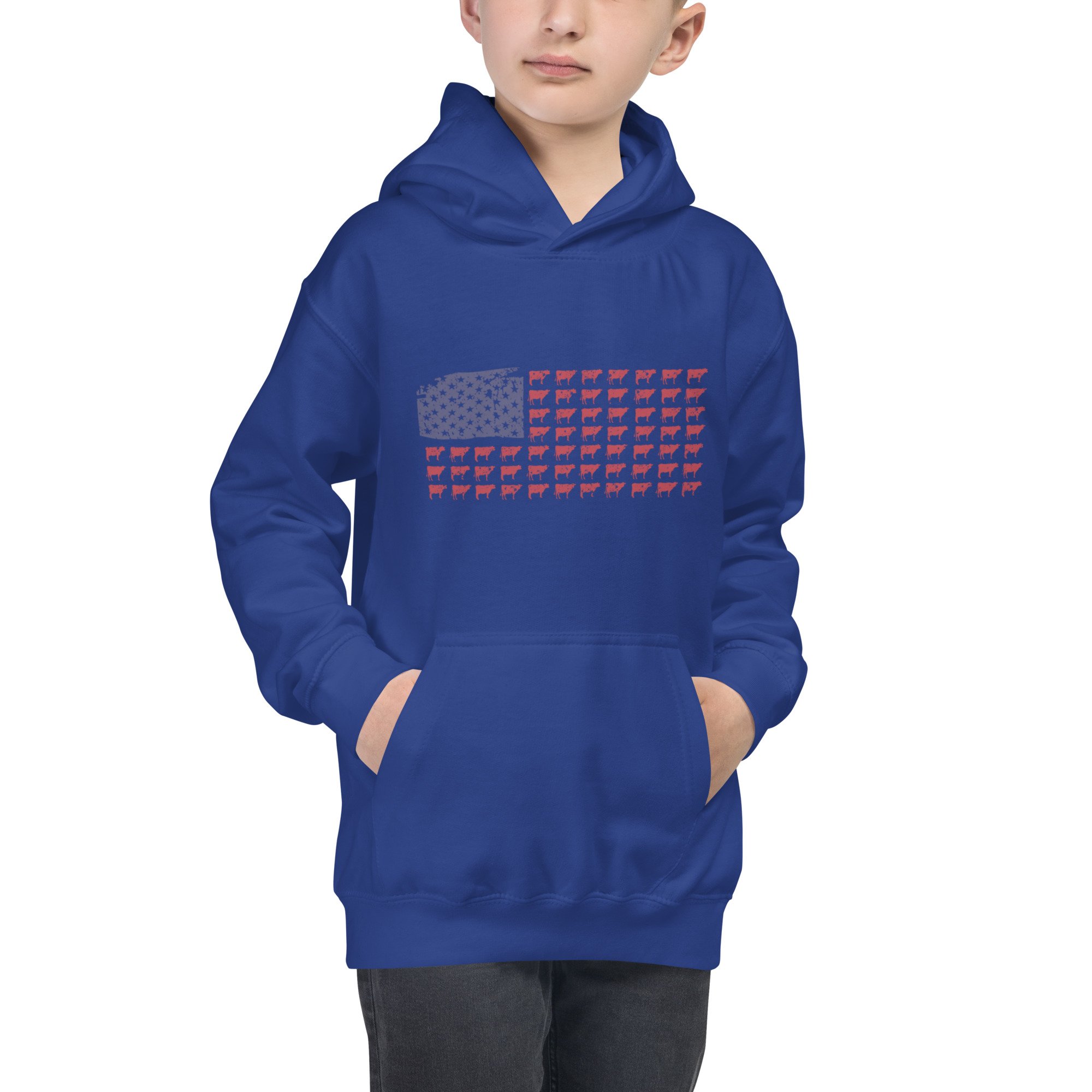 kids-hoodie-royal-blue-front-6334a5fb494b1.jpg
