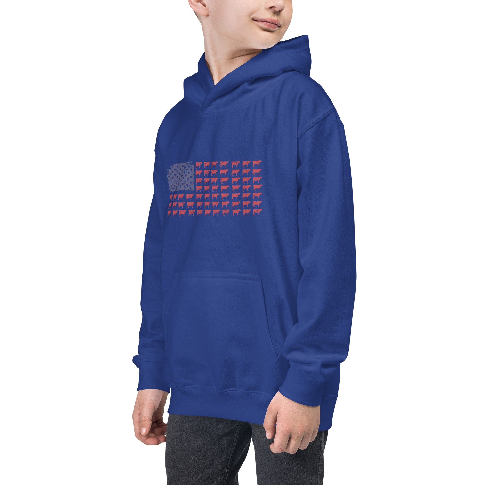 kids-hoodie-royal-blue-left-front-6334a5fb497bf.jpg