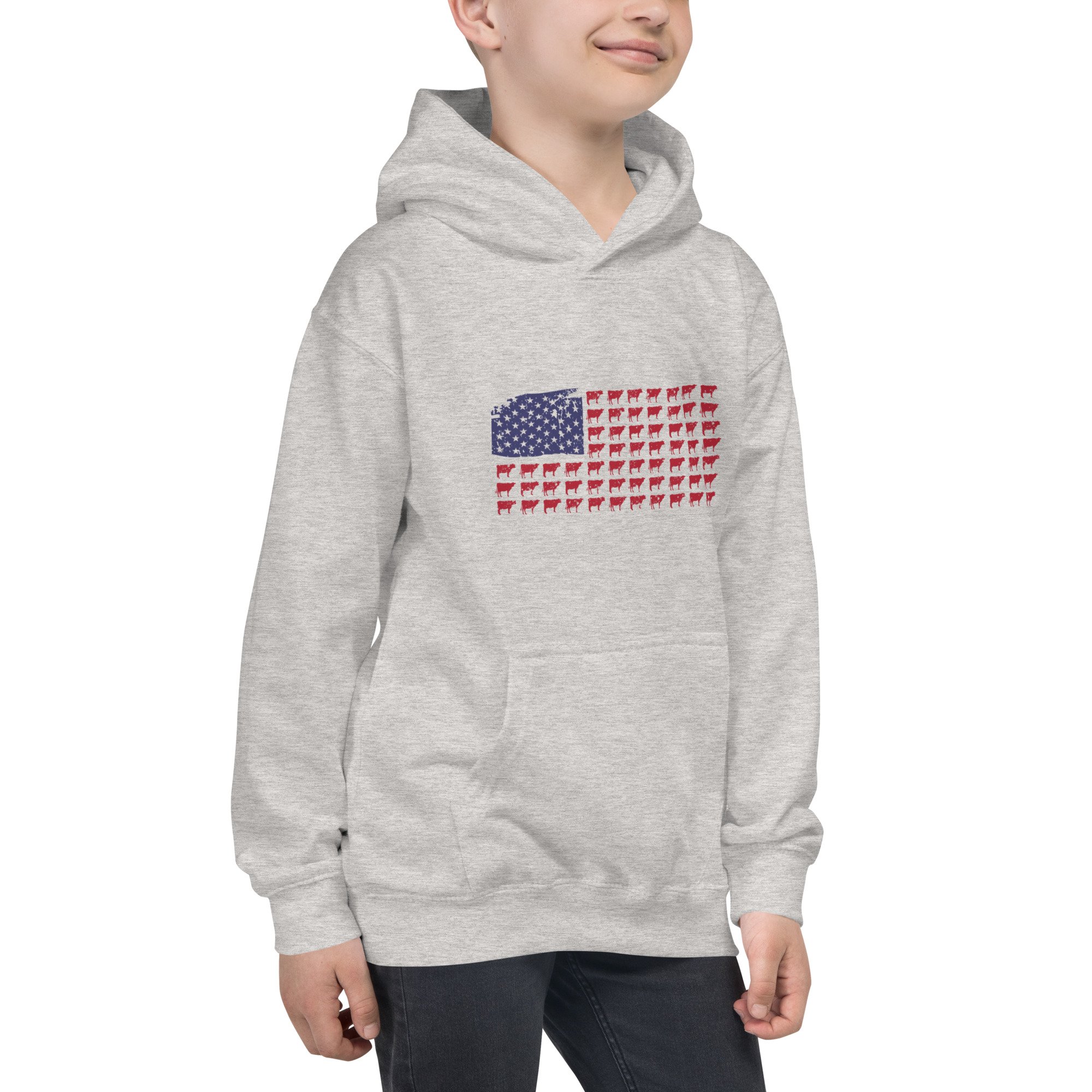 kids-hoodie-heather-grey-right-front-6334a5fb49af9.jpg