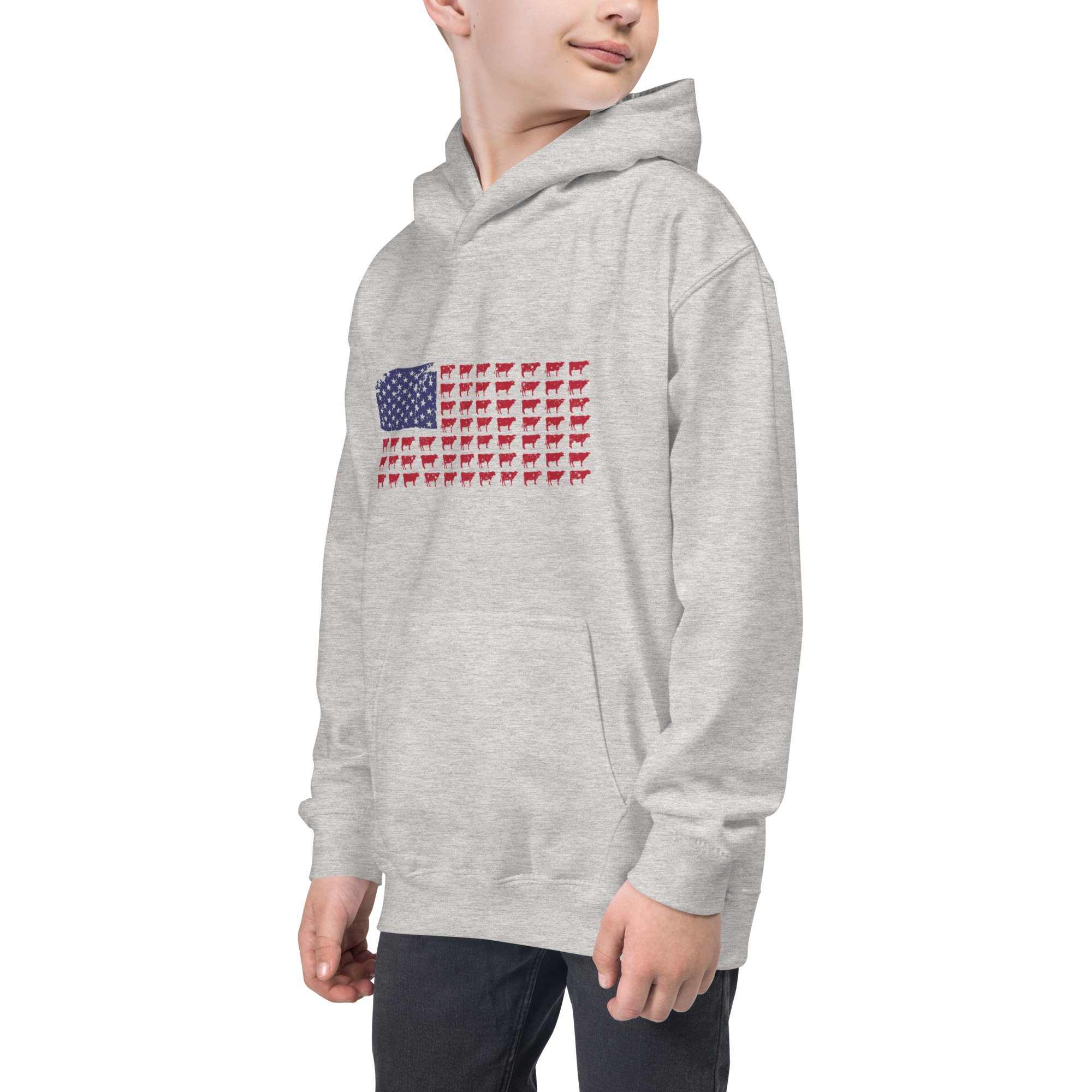 kids-hoodie-heather-grey-left-front-6334a5fb49cd6.jpg