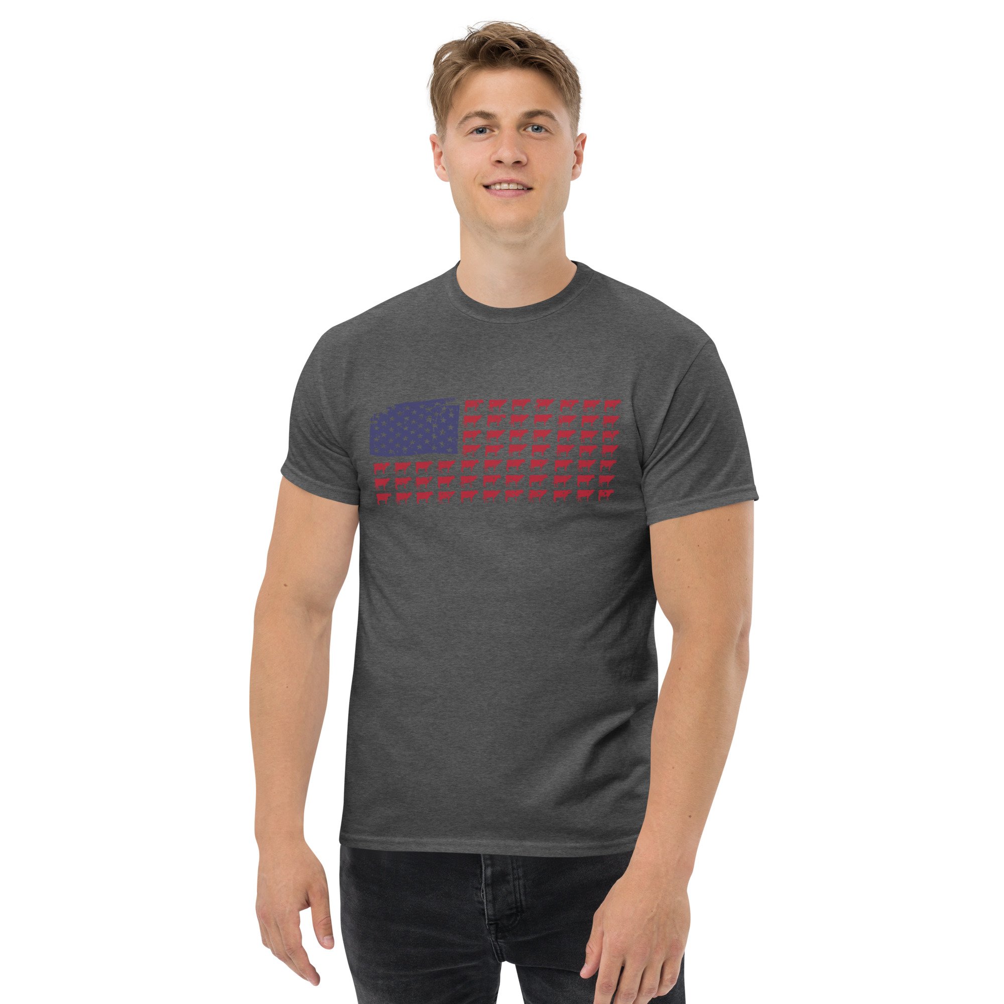 mens-classic-tee-dark-heather-front-6334a6fb74a0b.jpg
