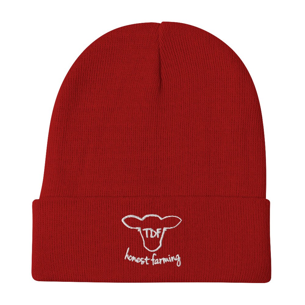 knit-beanie-red-front-640600ac29d92.jpg