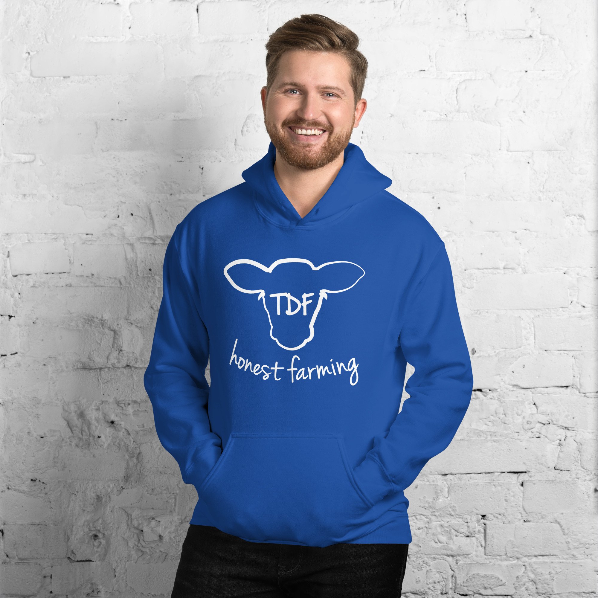 unisex-heavy-blend-hoodie-royal-front-662c1b4bd1218.jpg