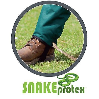 snake_protex_1.jpg