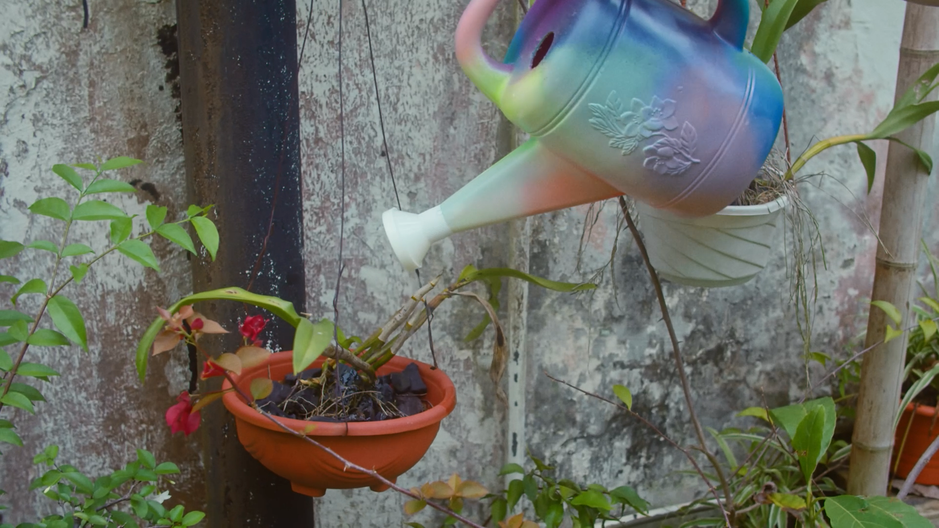 Watering Can | Art Object | Queenstown, Singapore | Spray paints on Retro Plastic Watering Can | 35 cm x 28 cm x 15 cm