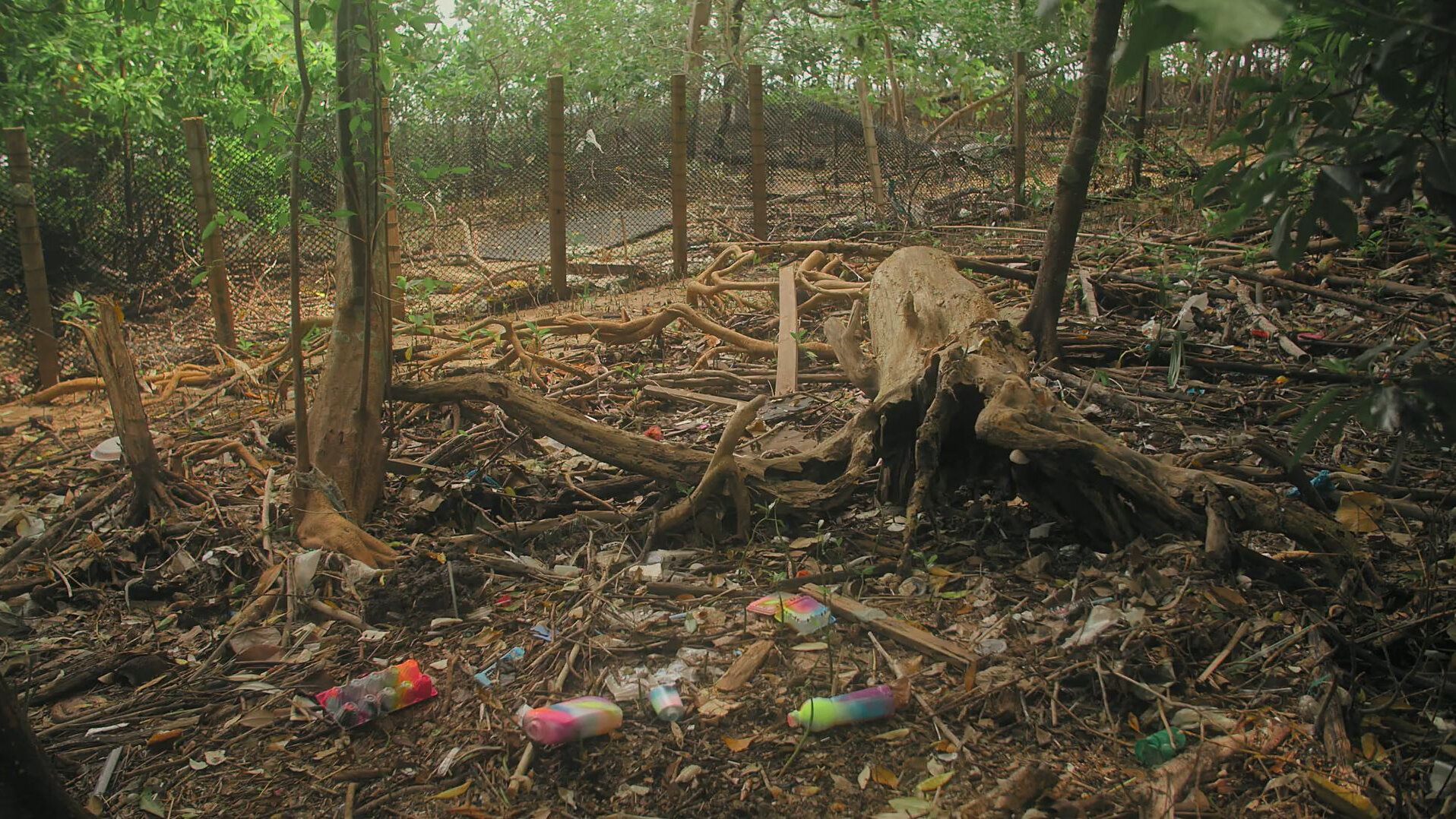 Marine Debris III | Art Objects | Sungei Buloh, Singapore | Spray paints & Dry Media on Marine Debris | Assorted Sizes
