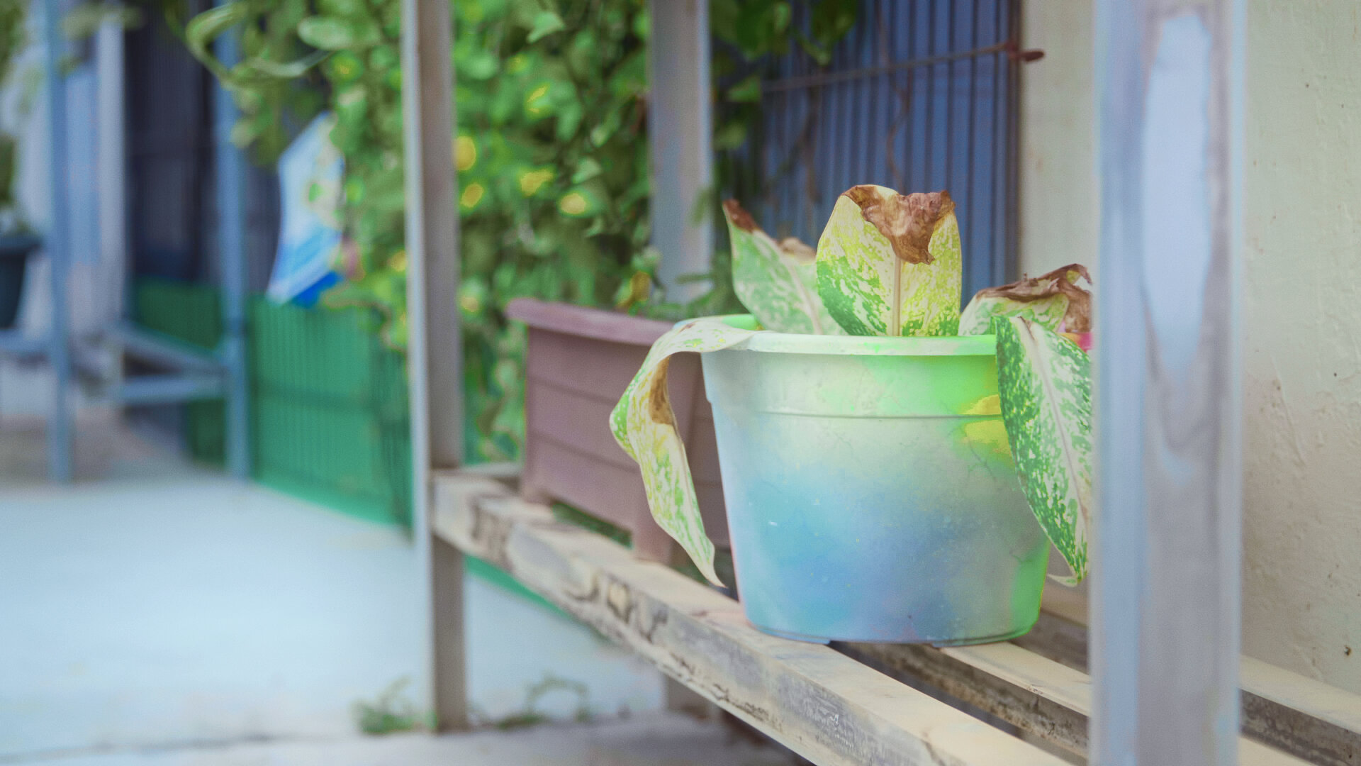 Flower Pot | Art Object | Toa Payoh, Singapore | Spray paints & Dry Media on Flower Pot | 23 cm x 23 cm x 16 cm