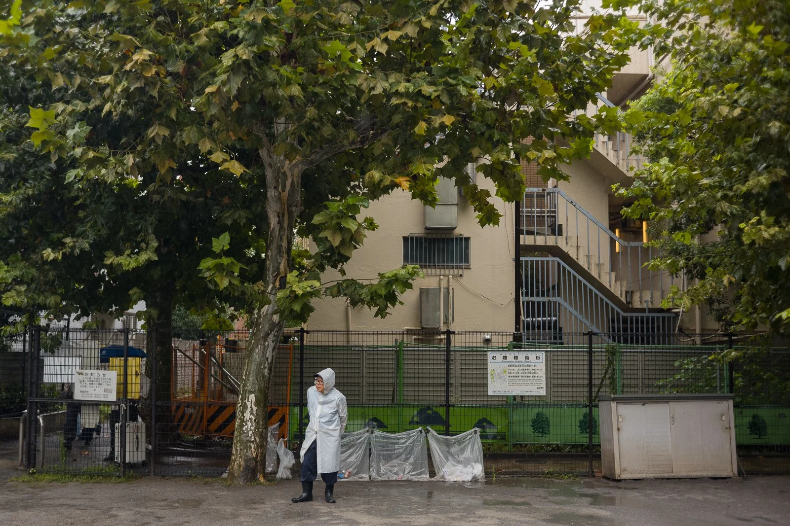 Person in a white raincoat standing beneath large trees beside a fence on a rainy day in Tokyo.