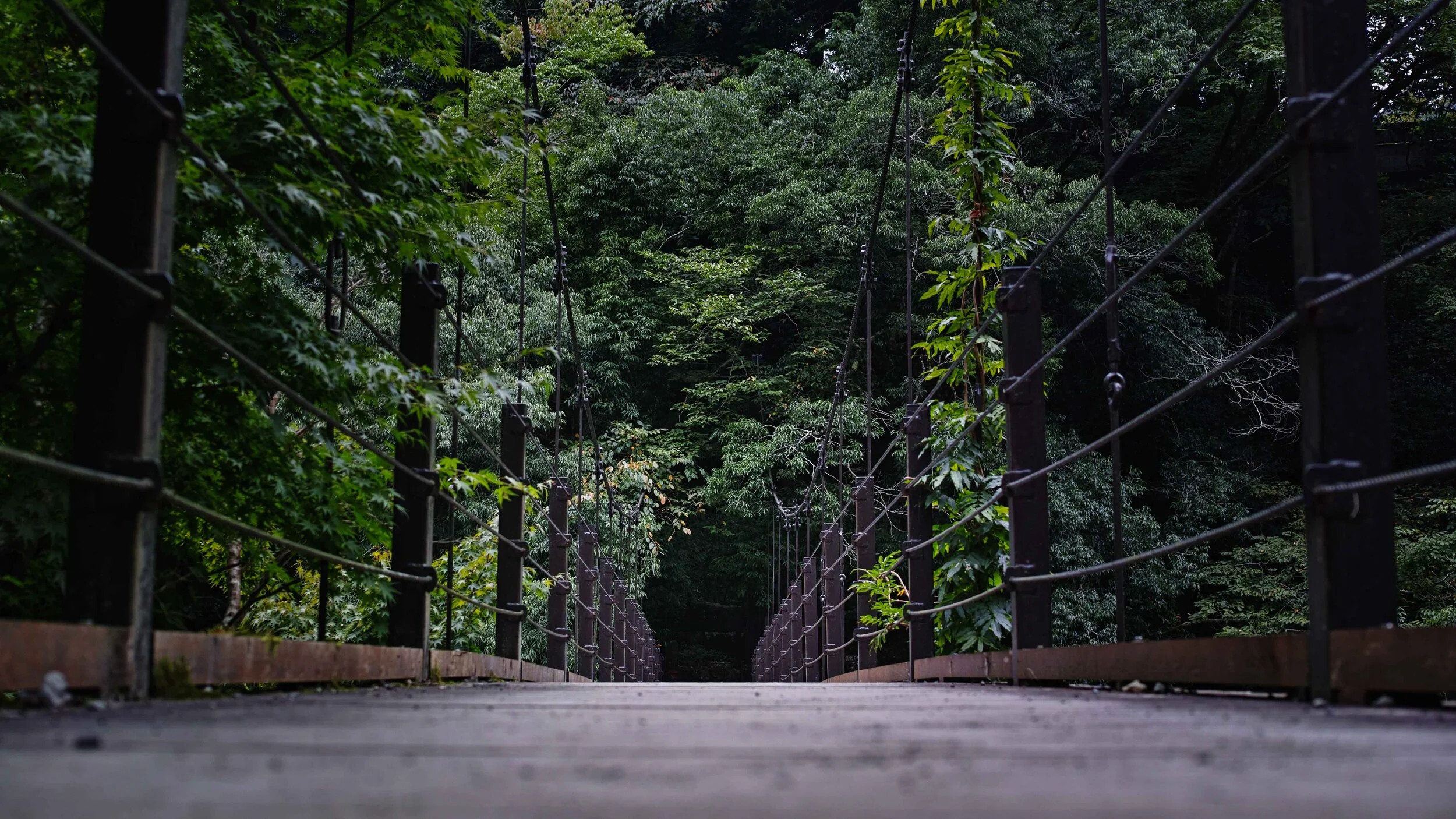 Okutama