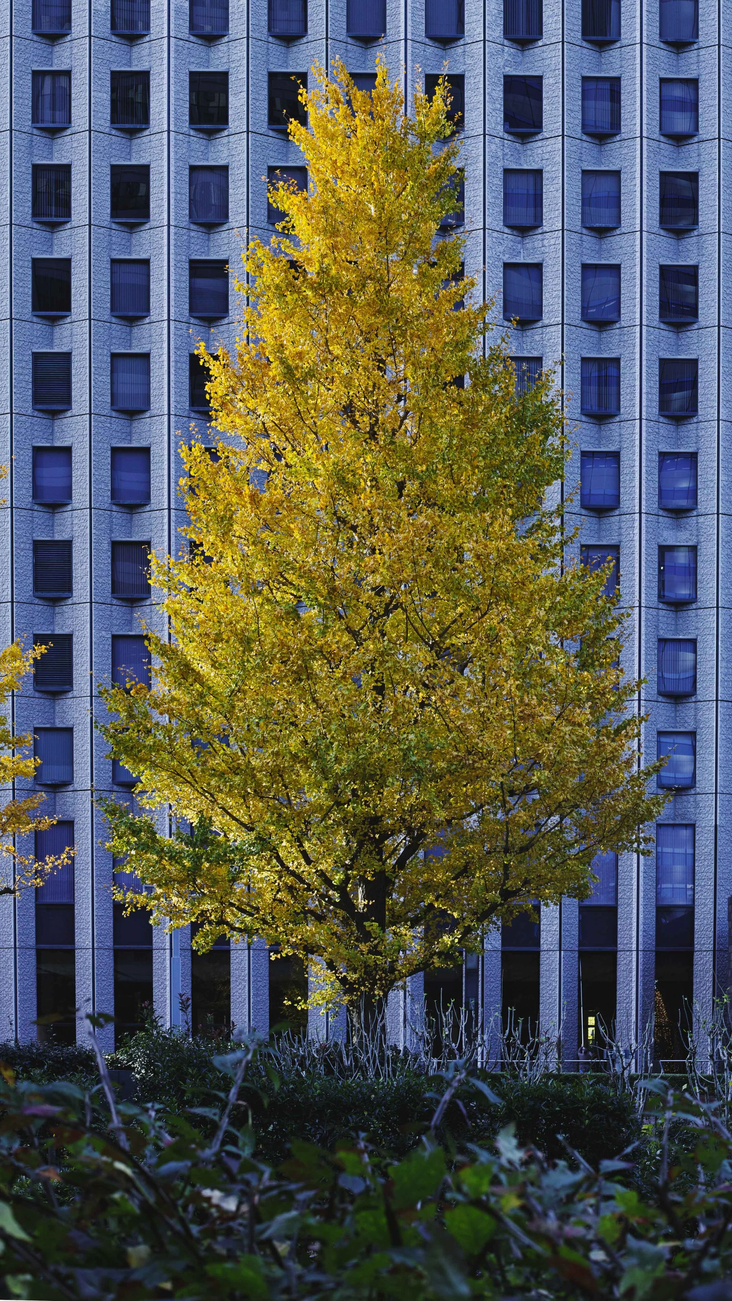 Falling