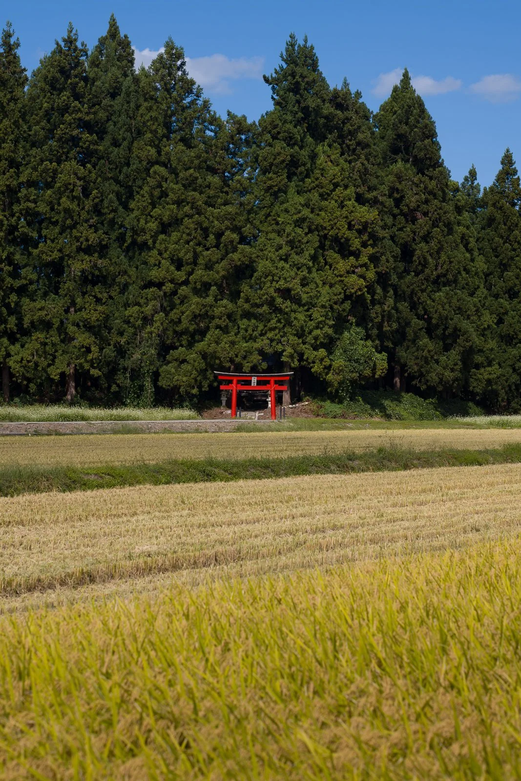 Where Time Moves More Slowly